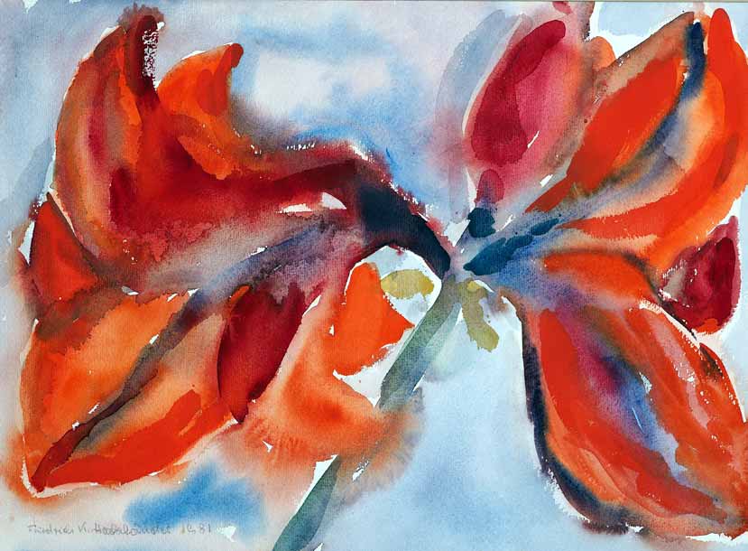 Amaryllis