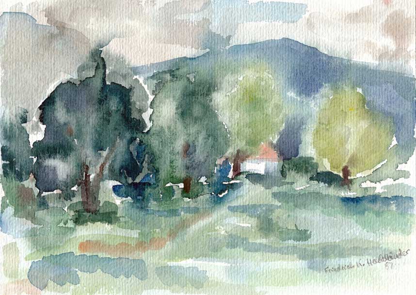Wiese in Tiengen